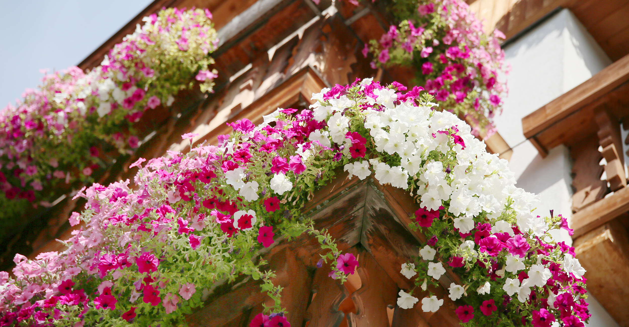 Natürliche Aussicht Eisacktal